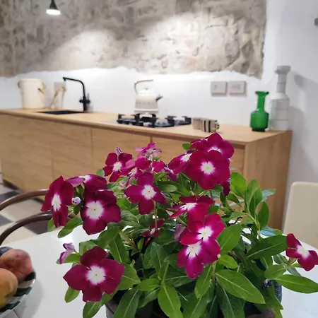 Casa Don Michele